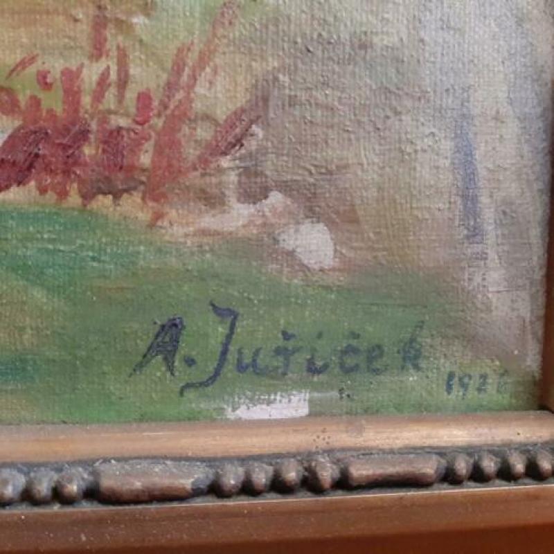 A.juricek Schilderij