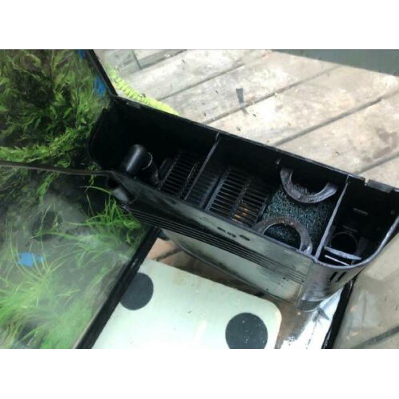 Aquarium van het merk cayman te koop