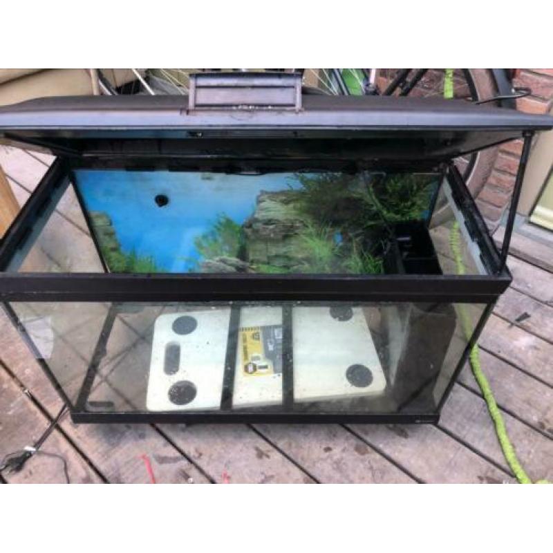 Aquarium van het merk cayman te koop