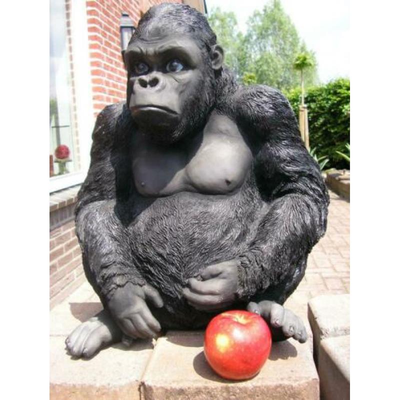 Groot beeld .....gorilla
