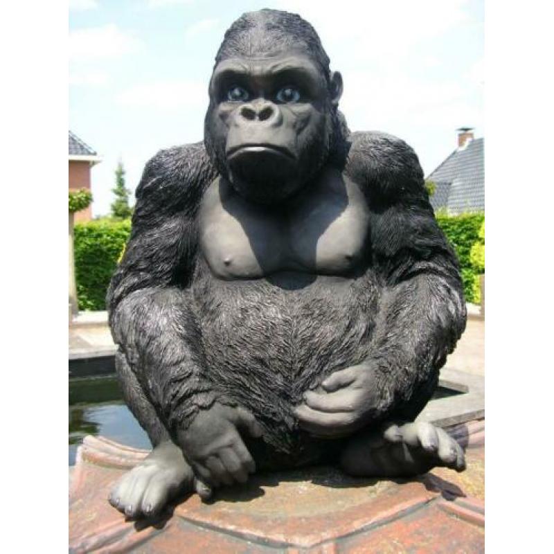 Groot beeld .....gorilla