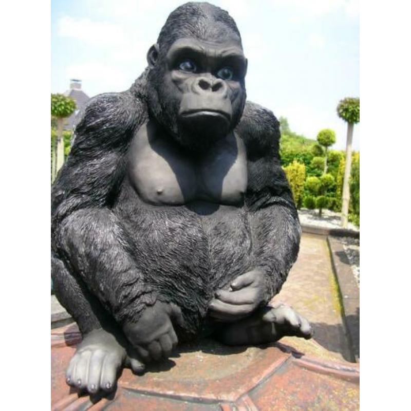 Groot beeld .....gorilla