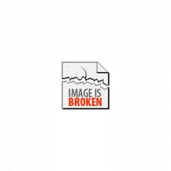 Fiat Panda 1.2 Edizione Cool Airco/5Deurs/Nieuw Apk