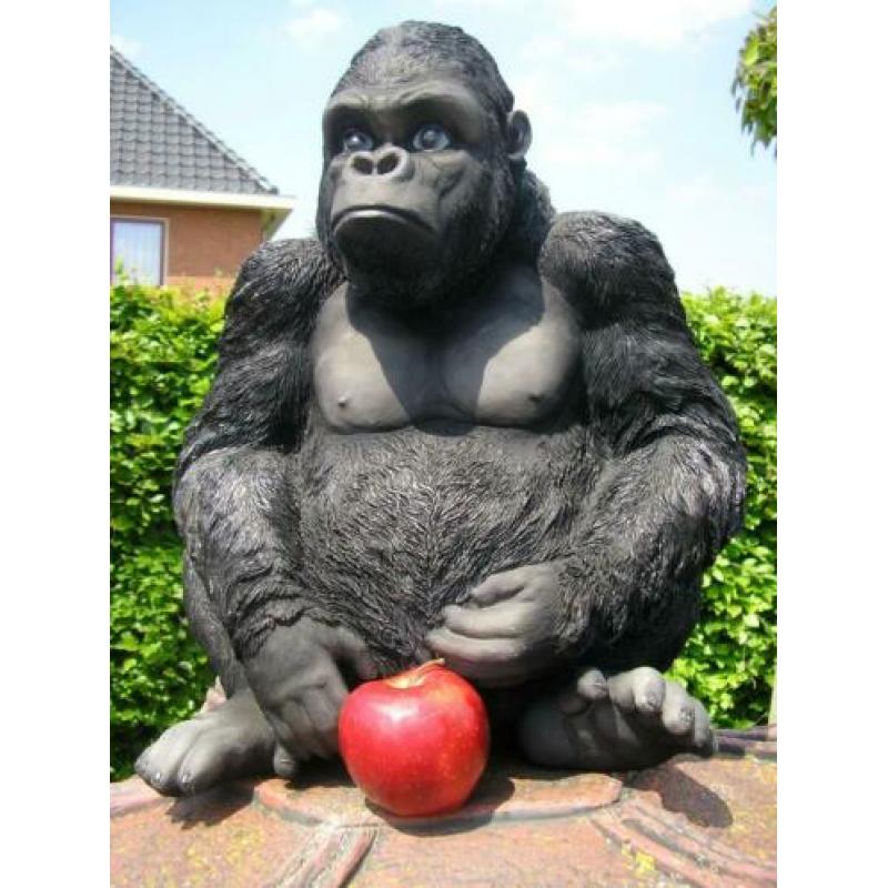 Groot beeld .....gorilla