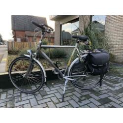 Gazelle Medeo Limited Edition