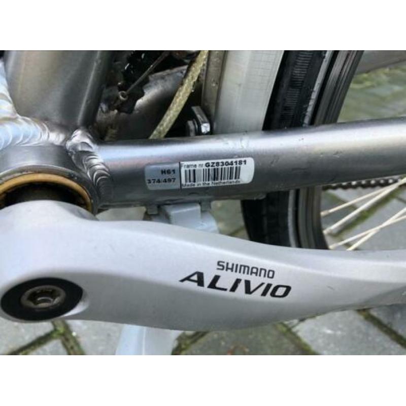 Gazelle Medeo Limited Edition