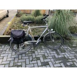 Gazelle Medeo Limited Edition