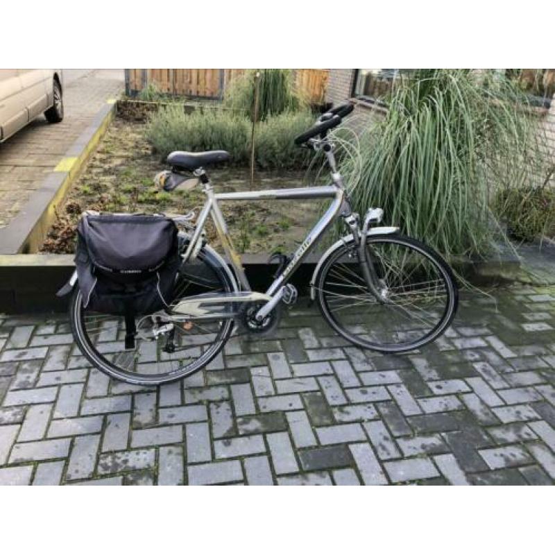Gazelle Medeo Limited Edition