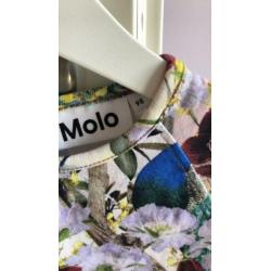 Molo jurk