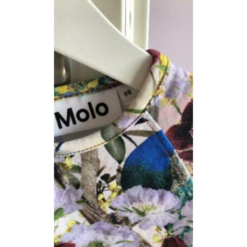 Molo jurk