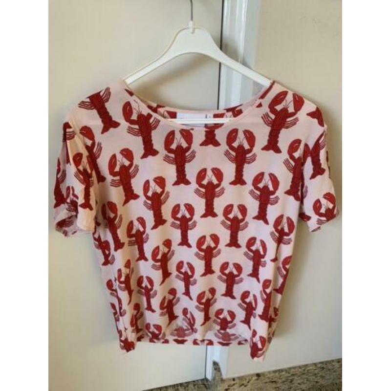 Roze viscose top Fabienne Chapot korte mouw maat S
