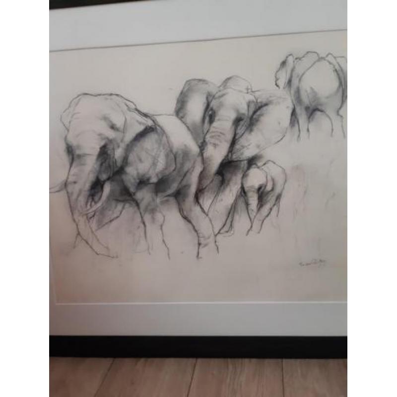 Originele potloodtekening van Ru van Rossem