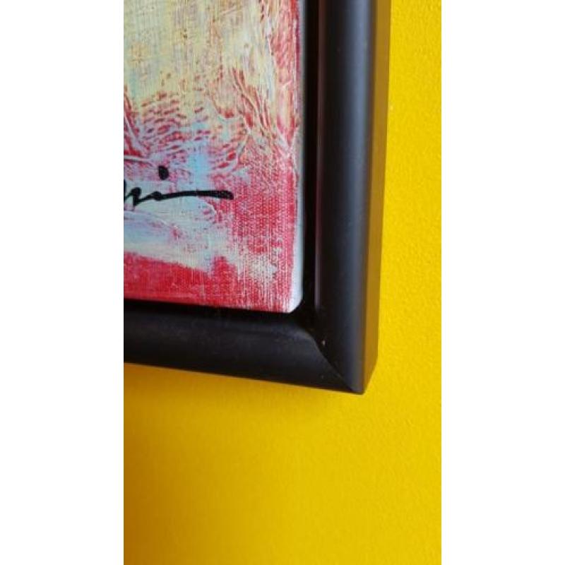 Abstracte schilderijen met professionele lijst.