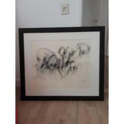 Originele potloodtekening van Ru van Rossem