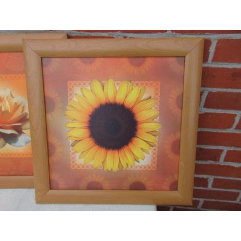3x afbeelding van bloemen in een houten lijst zonder glas