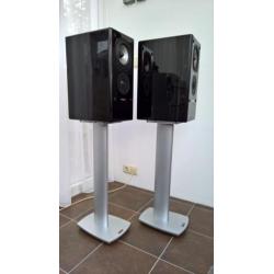 Xanadu AW 11 Ti +Dynaudio Stands