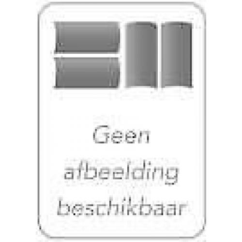 Getting Things Done in de praktijk 9789079421060