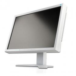 22 Inch LCD Eizo Flexscan S2202wmet Speakers