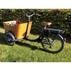 Babboe curve elektrisch