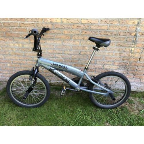 BMX Montego
